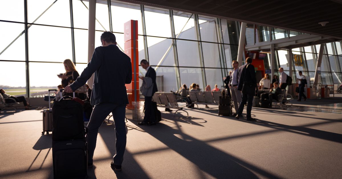 Flight Knight Sale Guide: How to Save on Budget Luggage